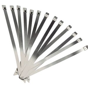 DSS Stainless Steel Cable Ties